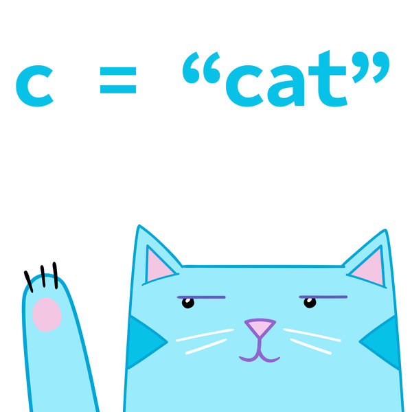 c = 'cat'