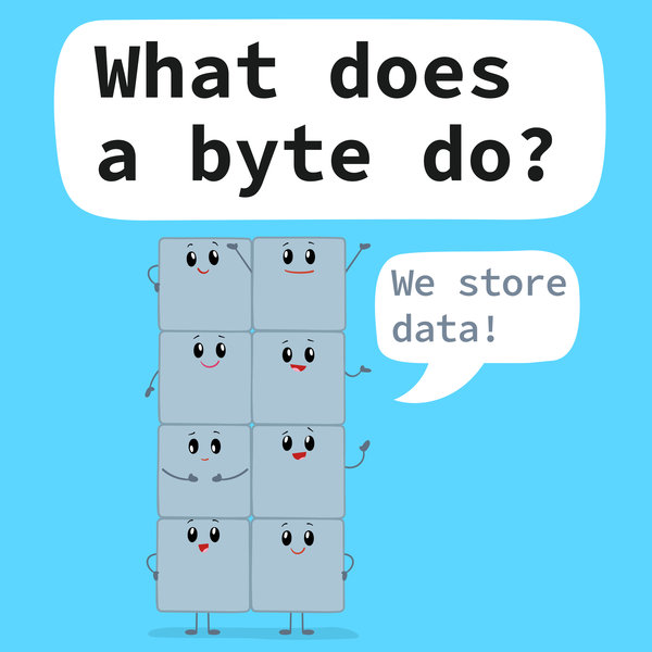 what does a byte do?