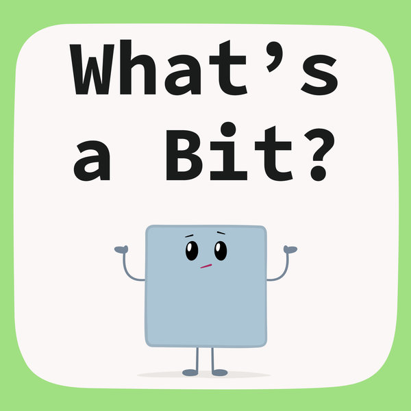 what's a bit