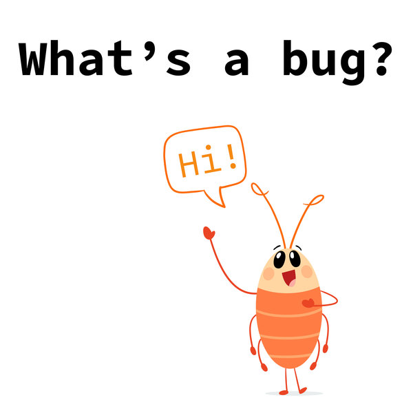 what's a bug